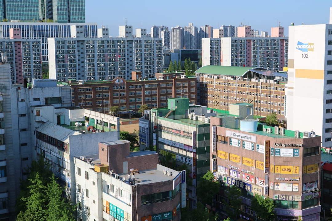 대구입시미술학원 참고 이미지 2