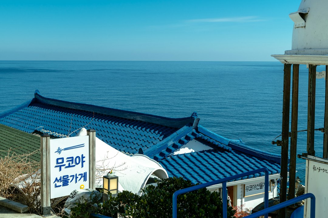 50대취미생활 참고 이미지 2